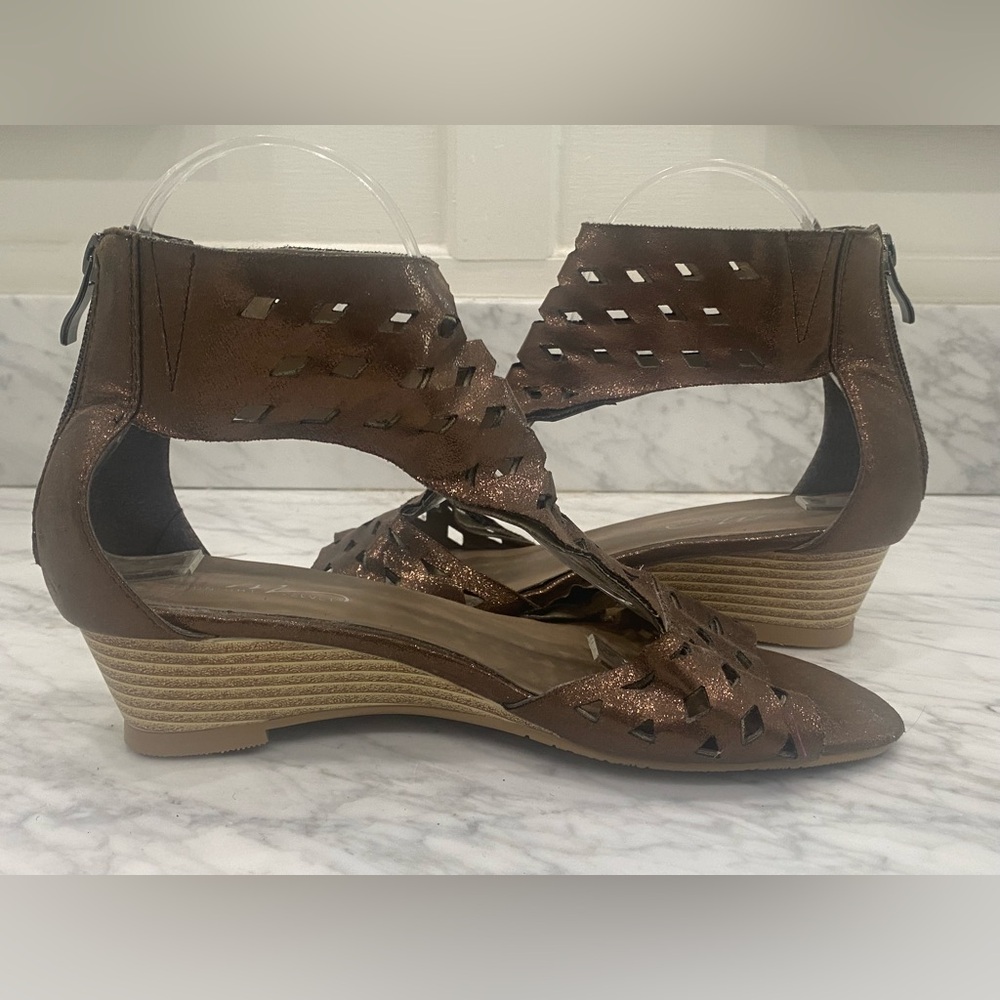 Midnight Velvet Bronze Wedge Sandals